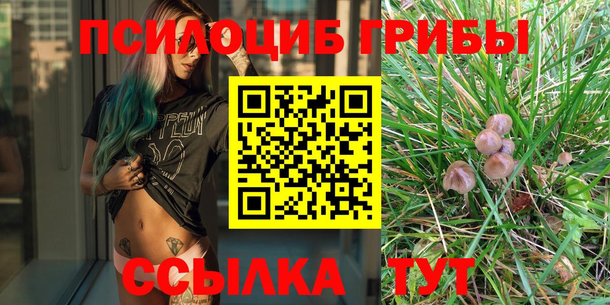 Галлюциногенные грибы мицелий Казань
